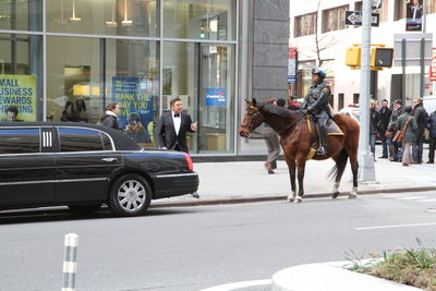 Horse cart on street in city