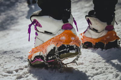 Low section of person on snow covered field