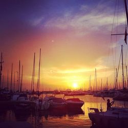 Sailboats in harbor