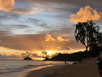 Silhouette people on beach against sky during sunset