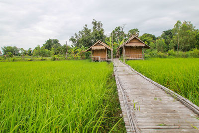 Scenic view of farm against sky