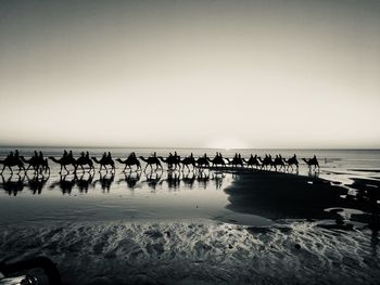 Sunset in broome, australia