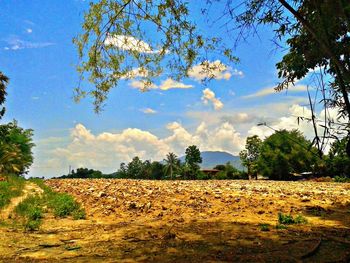 Scenic view of field against sky