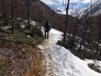 Rear view of person walking on snow covered landscape