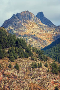 Scenic view of landscape and mountains 