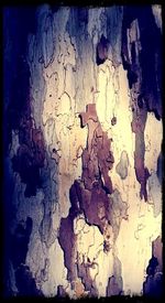 Close-up of weathered wall