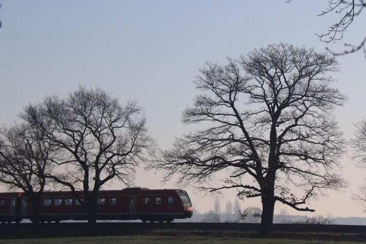 bare tree, tree, clear sky, transportation, branch, field, car, copy space, landscape, mode of transport, nature, tranquility, land vehicle, outdoors, road, tranquil scene, sky, day, no people, tree trunk