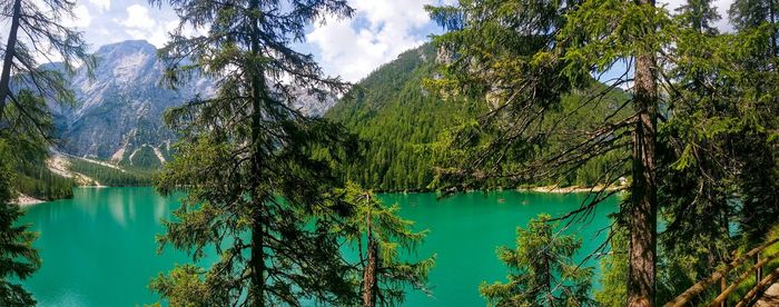 Scenic view of lake by trees against sky