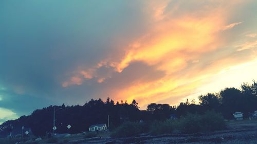 Silhouette of trees on landscape at sunset