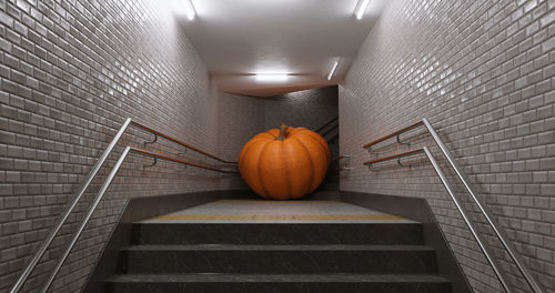 High angle view of pumpkins on steps