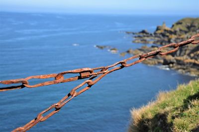 Close-up of barbed wire on sea against sky