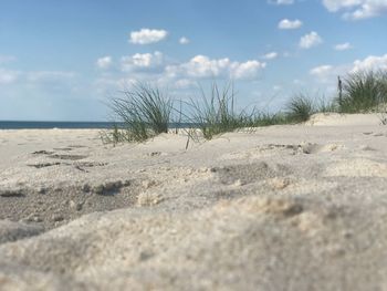Scenic view of beach against sky