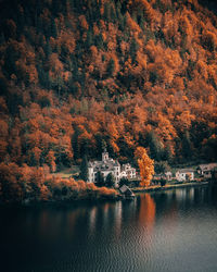 Trees by lake in forest during autumn