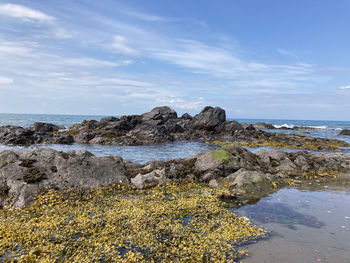 Scenic view of rocks on beach against sky