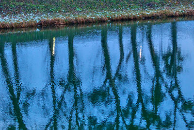 Reflection of trees in lake