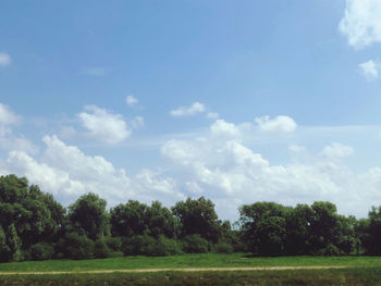 Trees on field against sky