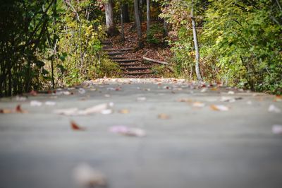 Surface level of road