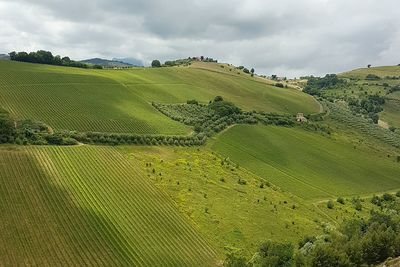 Scenic view of field against cloudy sky
