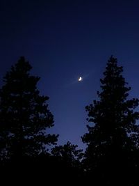 Low angle view of silhouette trees against clear sky