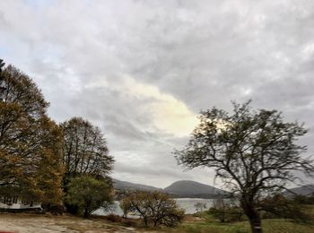 Trees on landscape against sky
