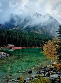 Scenic view of lake in forest against sky