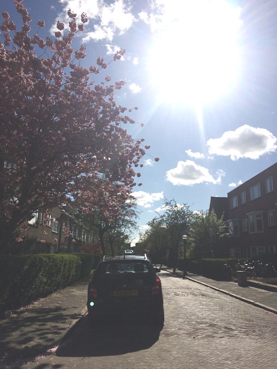 building exterior, sky, sunlight, outdoors, sun, transportation, sunbeam, car, built structure, land vehicle, one person, tree, cloud - sky, city, nature, day, architecture, adults only, only men, people, one man only, adult