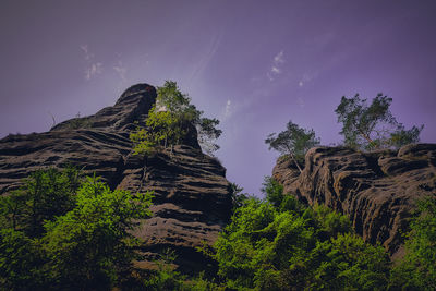 Low angle view of rock formation amidst trees against sky