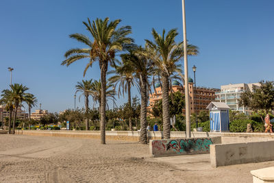 Palm trees by building against blue sky