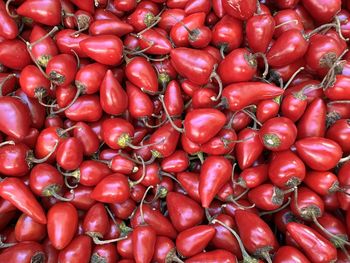 Full frame shot of tomatoes