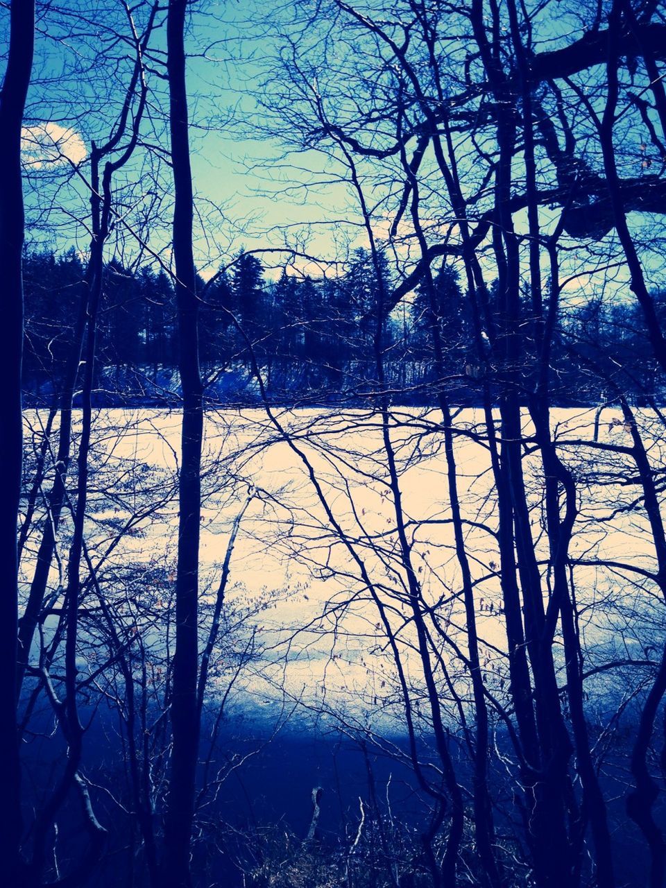 bare tree, tree, branch, silhouette, water, tranquility, nature, sky, lake, sunset, tranquil scene, dusk, no people, field, fence, outdoors, scenics, tree trunk, clear sky, river