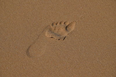 High angle view of footprints on wet sand