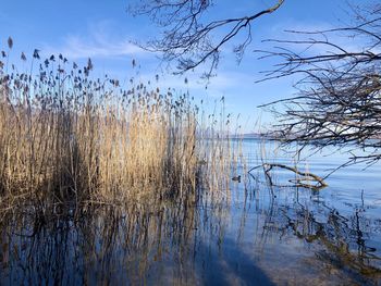 Scenic view of lake against sky