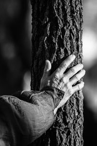 Close-up of man holding tree trunk