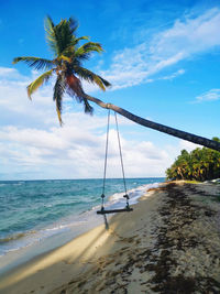 Palm trees on beach against sky