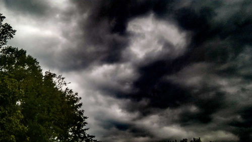 Low angle view of trees against sky