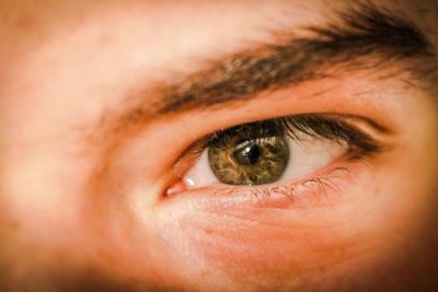 Close-up portrait of human eye