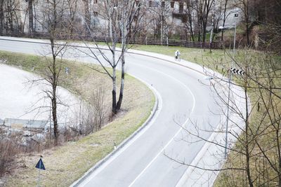 Road along trees