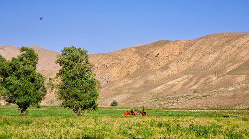 Scenic view of field against clear sky