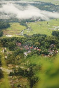 Aerial view of trees and houses on landscape