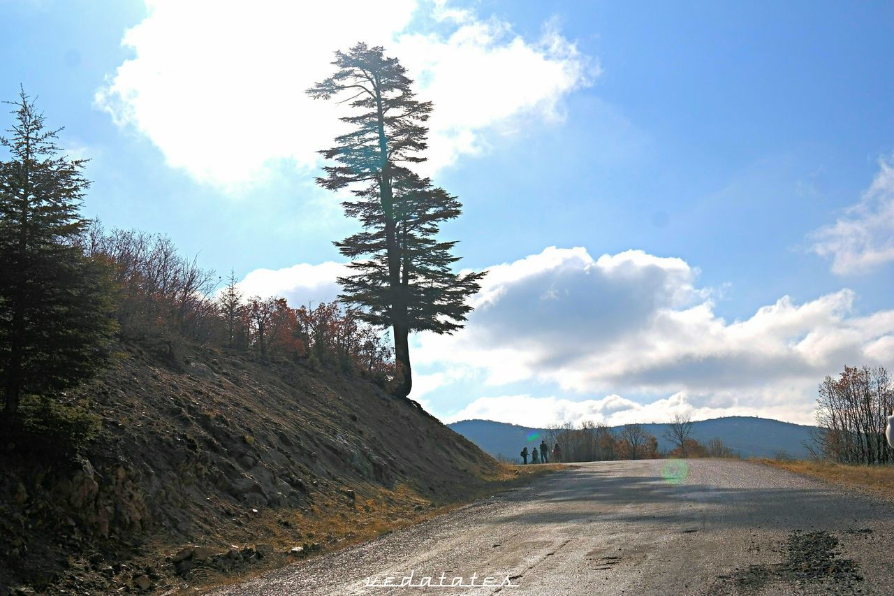 sky, tranquility, tranquil scene, tree, cloud - sky, nature, scenics, cloud, beauty in nature, landscape, sand, sunlight, non-urban scene, beach, day, mountain, remote, dirt road, outdoors, blue