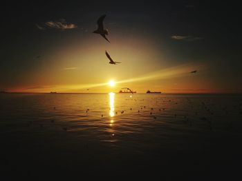 Silhouette birds flying over sea against sky during sunset