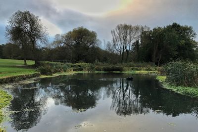 Scenic view of lake in forest against sky