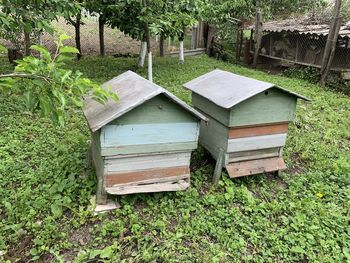 High angle view of bee on grassy field