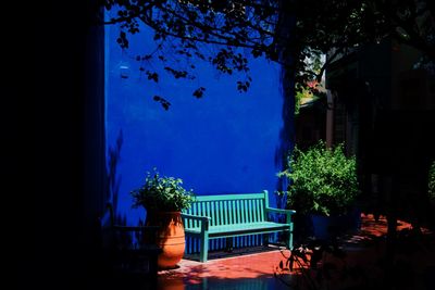 Potted plants and trees against buildings at night