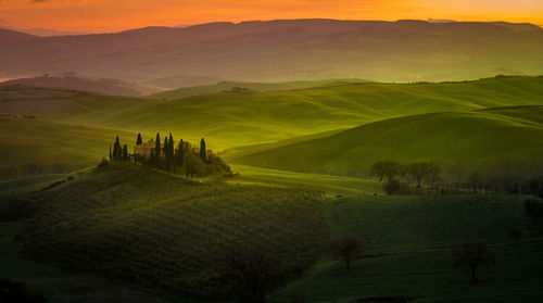 Scenic view of agricultural field against sky during sunset