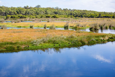 Scenic view of lake against sky