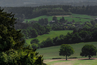 Scenic view of rural landscape