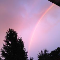 Low angle view of rainbow over trees