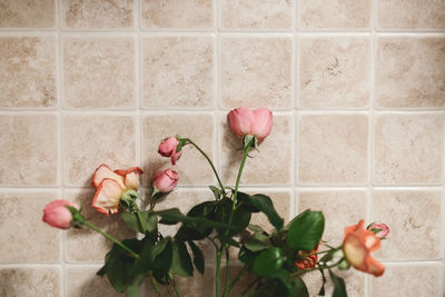 Close-up of flowers against brick wall