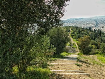 Scenic view of landscape